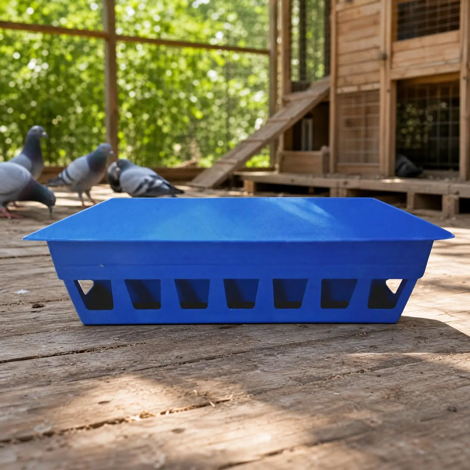 Smart Pigeon Feeder with Enclosed Storage for Daily Bird Feeding Routine in Loft