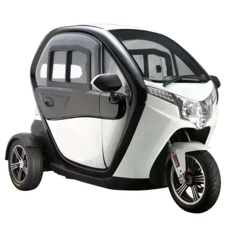 China Electric Mobility Tricycle Double Adulte  Enclosed Tricycle For Handicapped