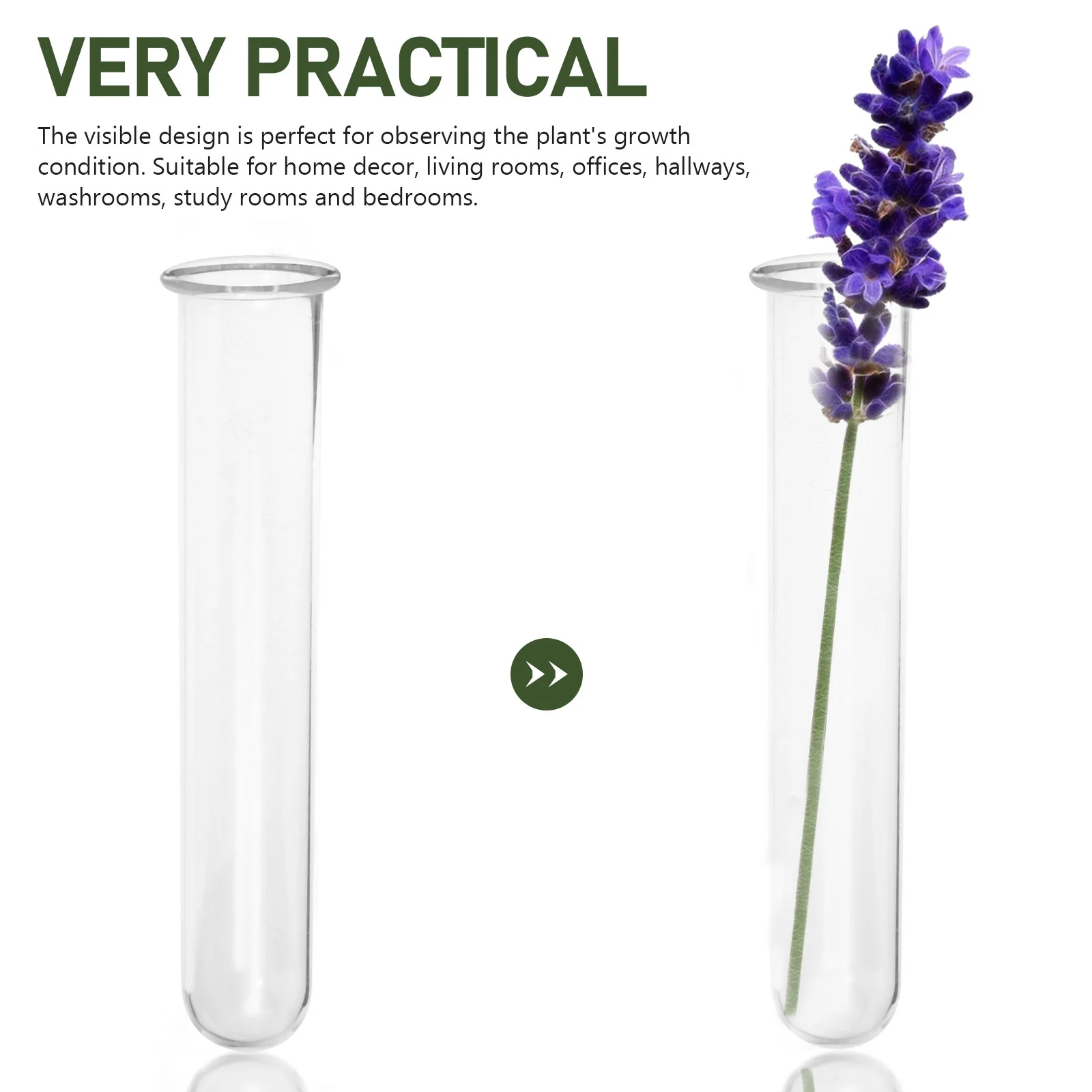 4 Pcs Hydroponic Test Tube Vase Tubes for Plants Hinged Bud Gold Wall Decor Flower Terrarium Convenient Glass Vases Flowers