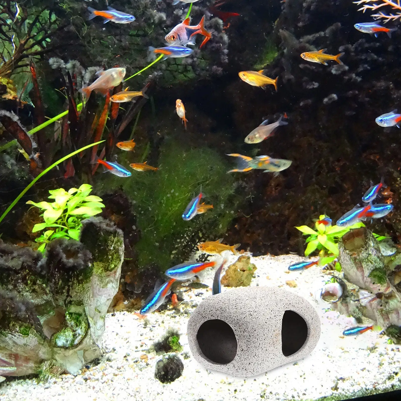 Hide Cave Ceramic - Dekorasi Batu Gua Akuarium Keramik Premium