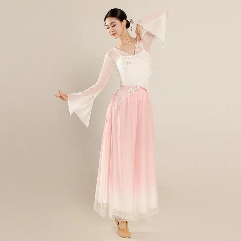 Robe de corps papillon en maille de gel pour la danse classique, vêtements de pratique de la danse folklorique chinoise, haut performance, examen d'art