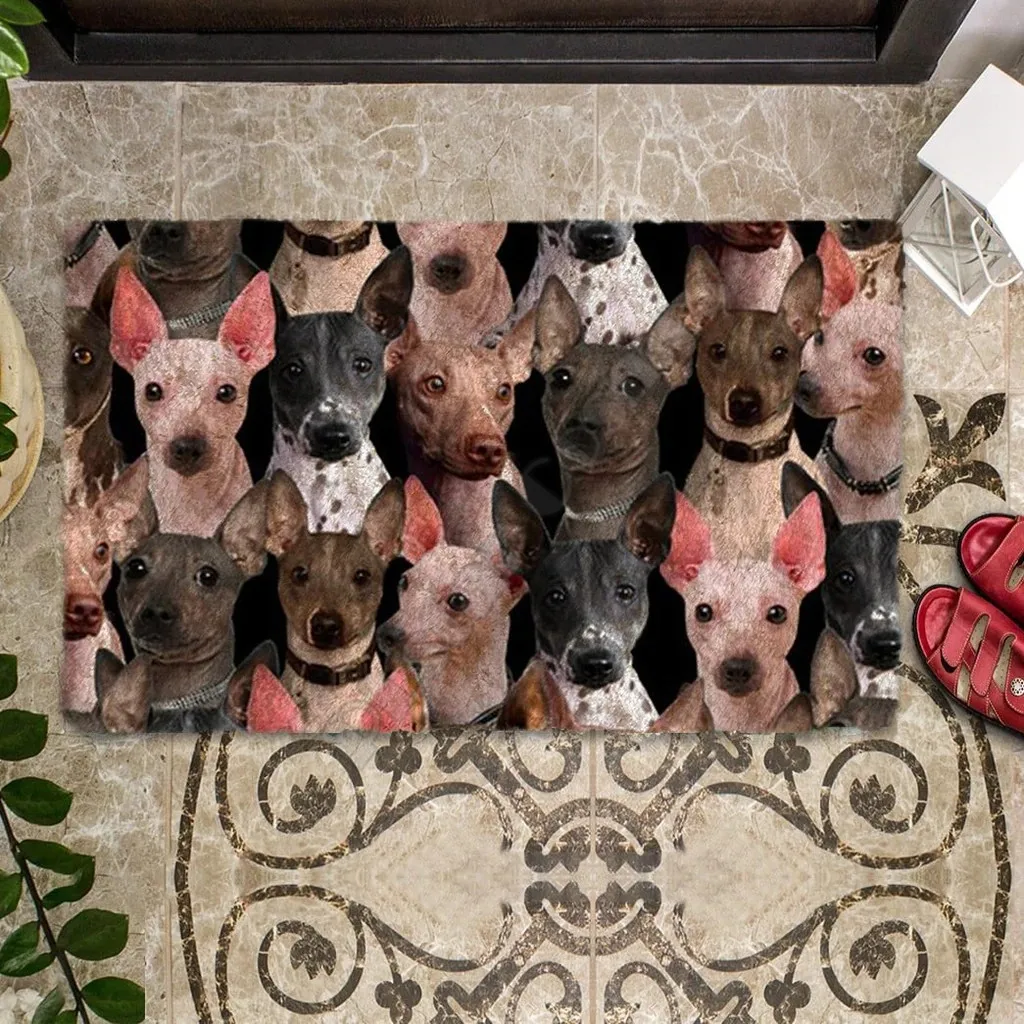 American Hairless Terriers/Australian Cattles/Beagles/Bearded Collies Doormat 3D Printed Indoor Outdoor Doormat Non-slip Style-3