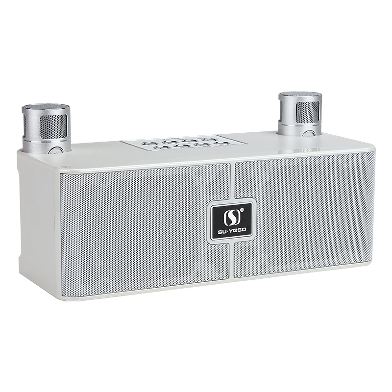 

Dual microphone Karaoke home portable Bluetooth loudspeaker system with 2 wireless microphones
