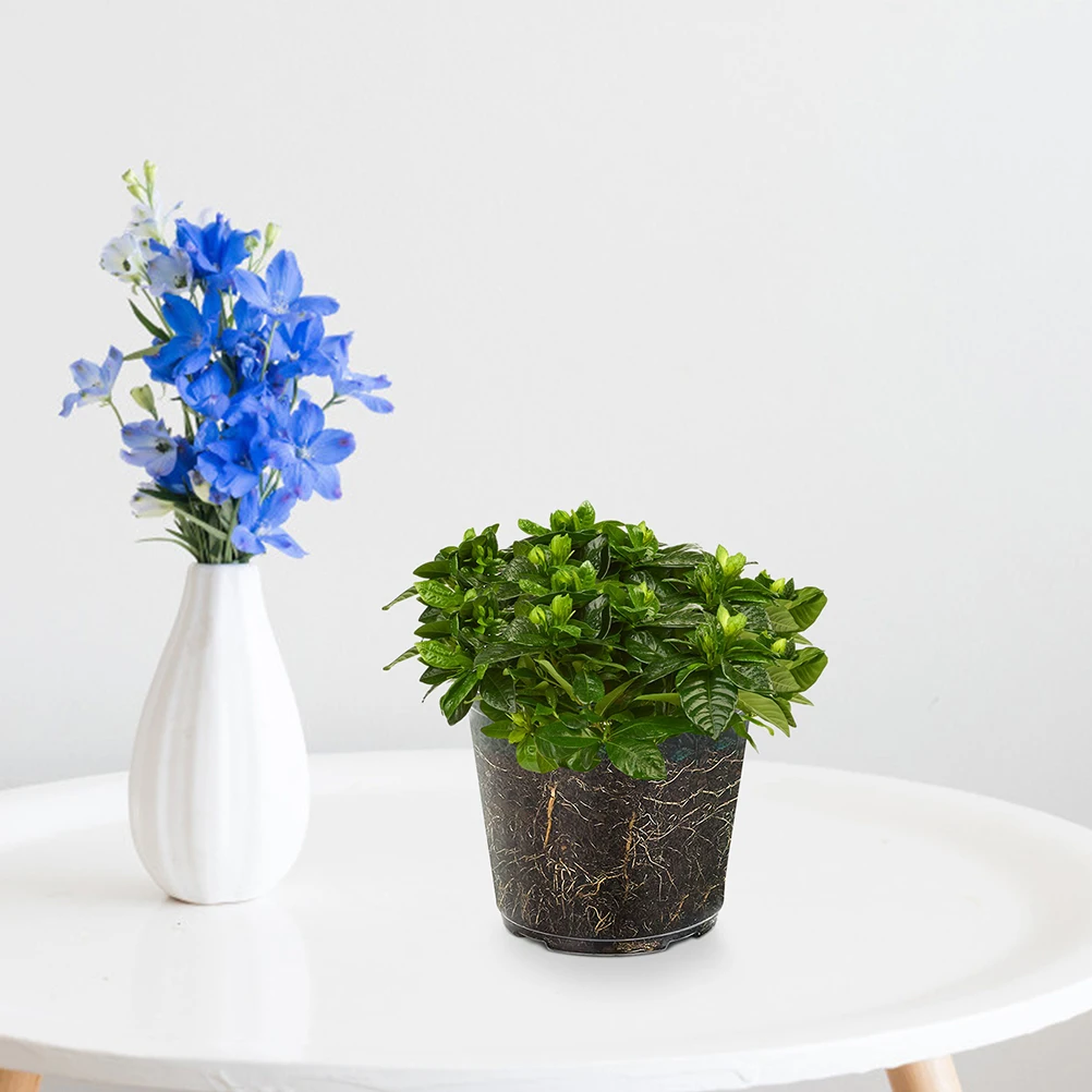 

6Pcs Transparent Plant Pots Set Sturdy Plastic Flower Containers Promotes Healthy Root Development for Orchids