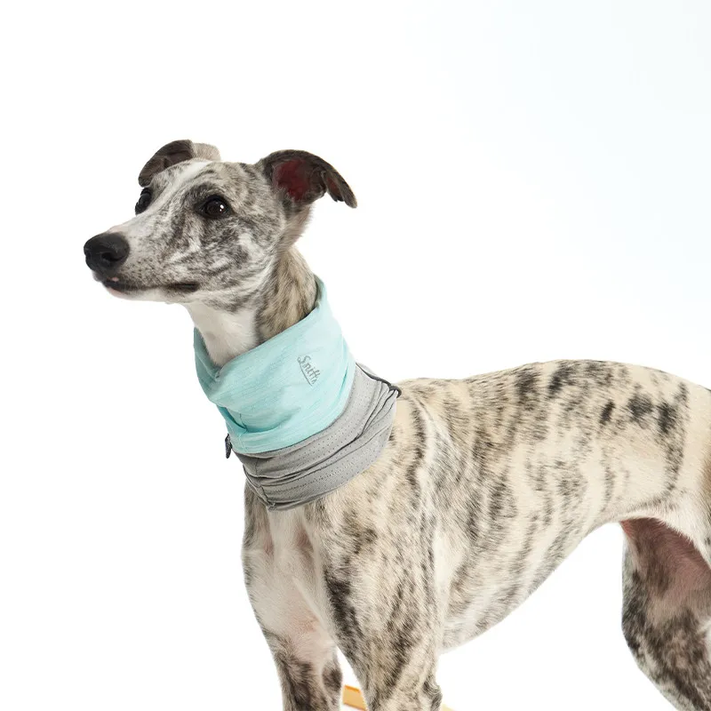 Sombrero verano anti-UV para Whippets y Galgos Italianos – Seda helada - imagen 5