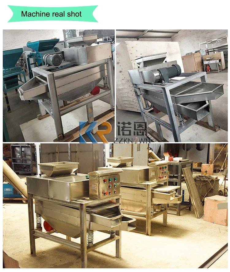 أداء جيد آلة تقطيع اللوز الكستناء معالجة الفول السوداني للبيع
