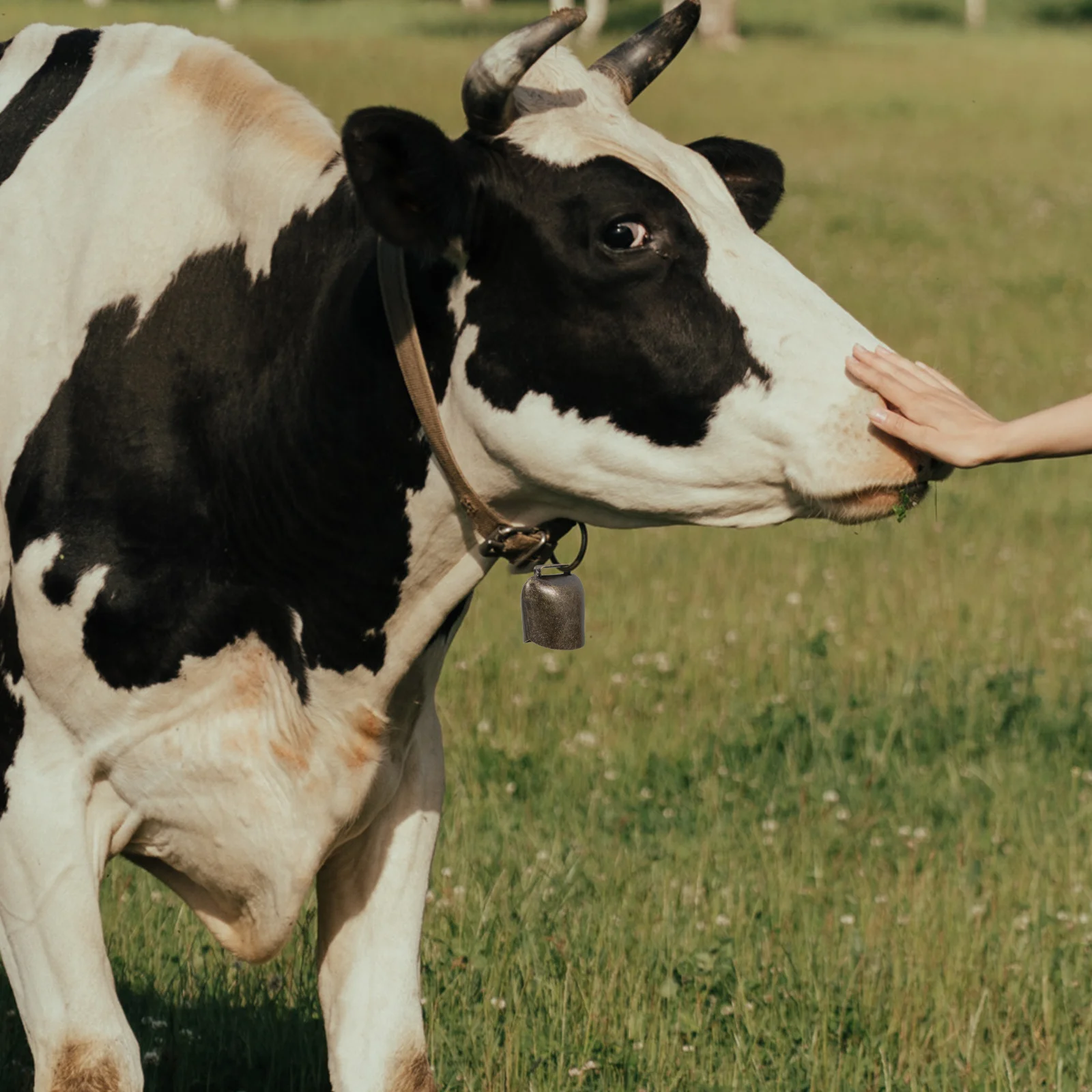 

2Pcs Animal Hanging Bell Thicken Crisp Sound Durable Iron Bell for Sheep Horse Cow Farming Accessories Anti-Lost