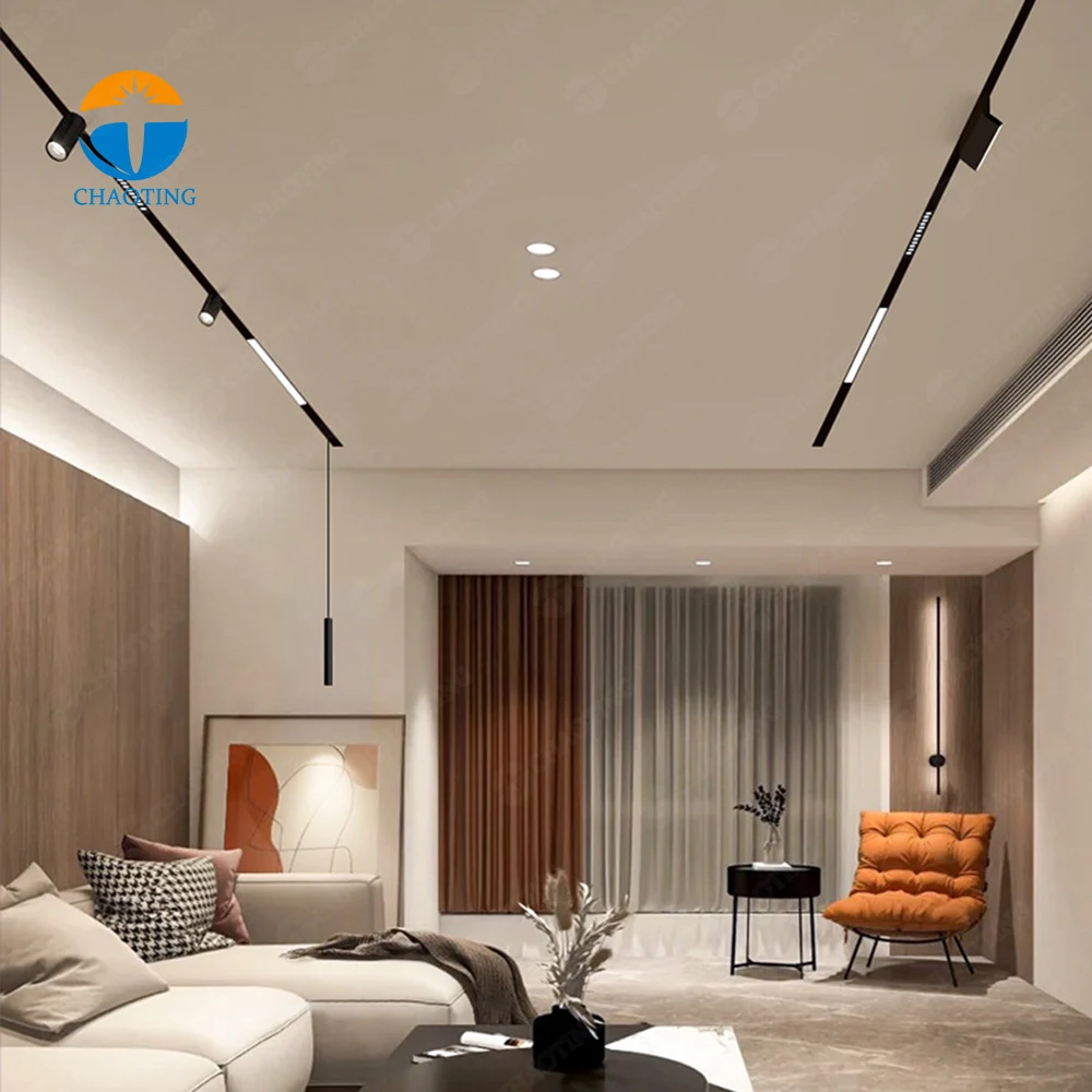 

Magnetic Track Spot Light 6W 10W 12W CRI90 48V Magnetic LED Pendant Chandeliers Round Ball Light