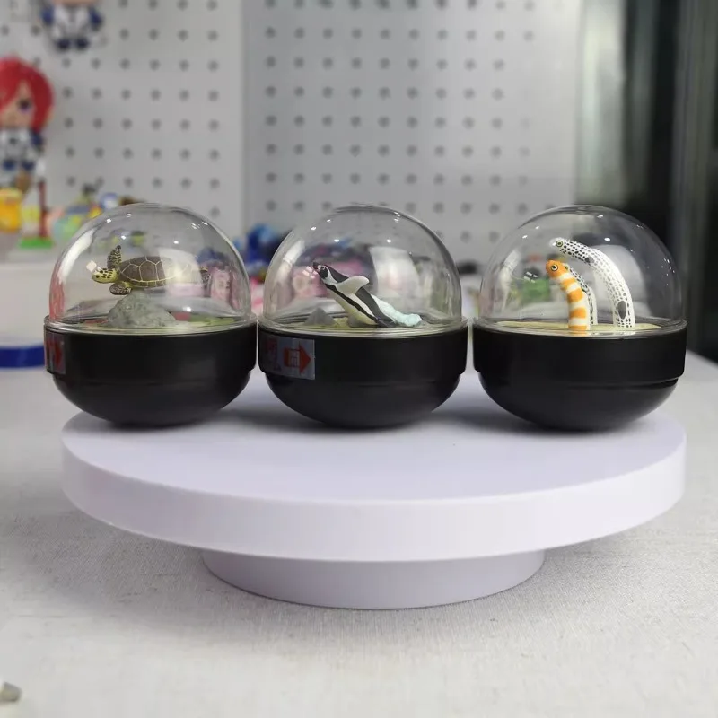 Oryginalna Kitan Snow Globe Crystal Ball Sea Turtle Marine Animal Penguin Garden Eel Figure Gashapon Kawaii Capsule Toys Model