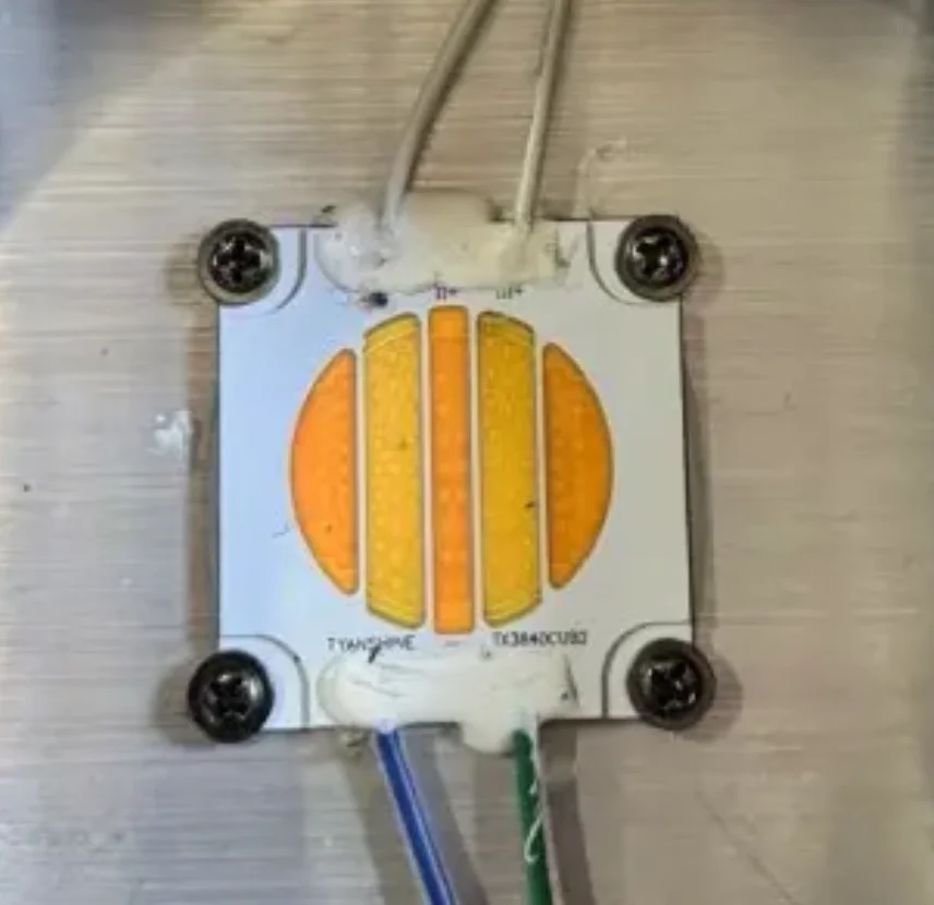 20 pieces 100W COB LED CW+WW