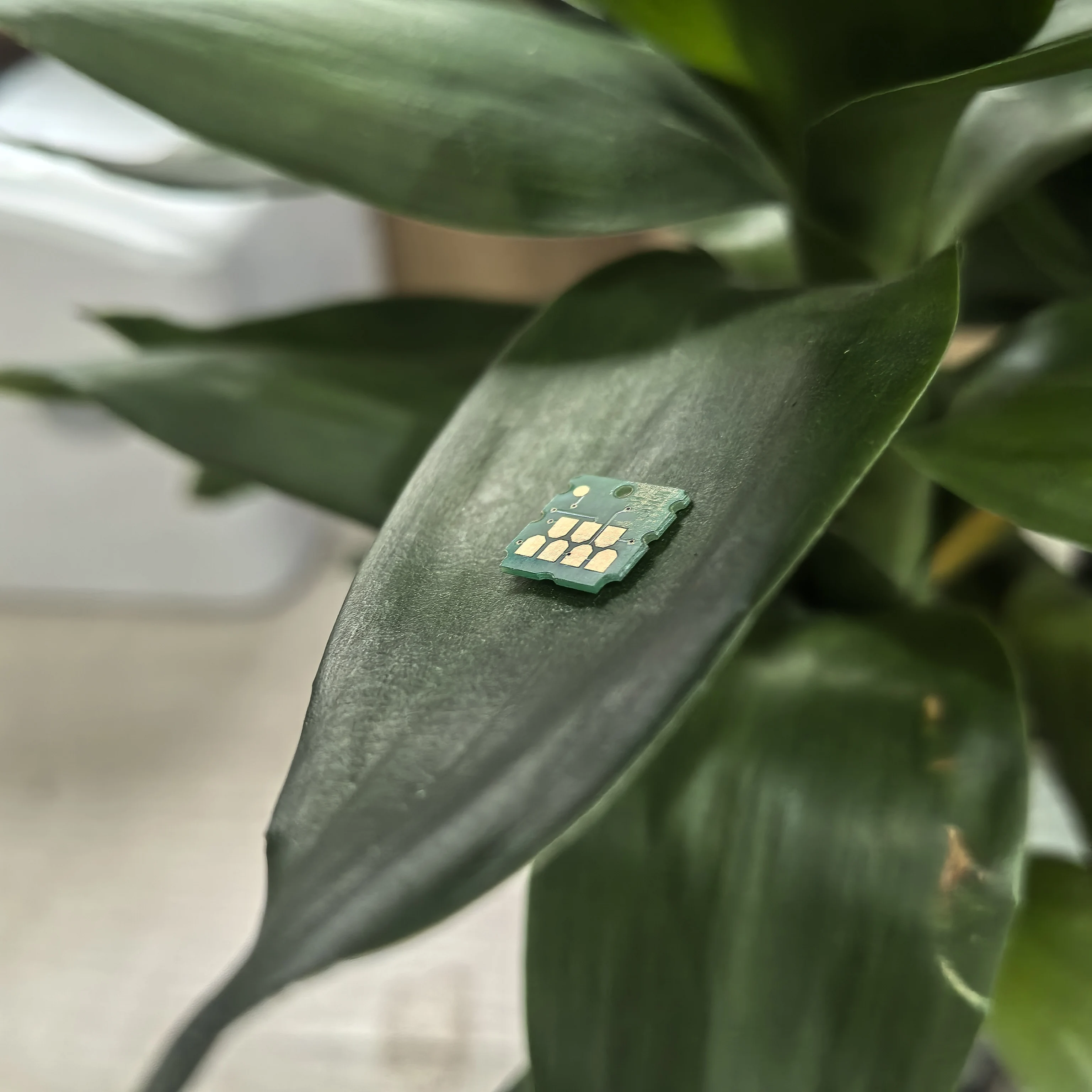 

5PCS C12C934591 C9345 for EPSON ET 16150 16600 16650 5880 5850 5800 WF 7845 7840 7830 7820 L8168 L8188 Ink Maintenance Box Chip