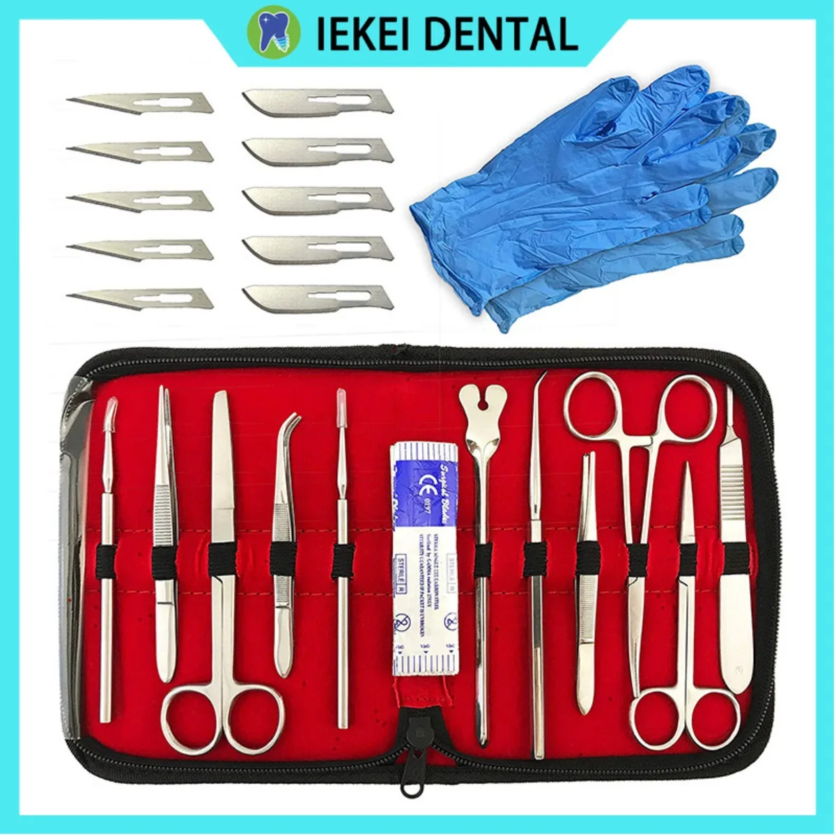 

22 Pieces of Biological Dissection Tools, Stainless Steel Needles, Probes, Scissors, Tweezers, Experimental Equipment and Tools