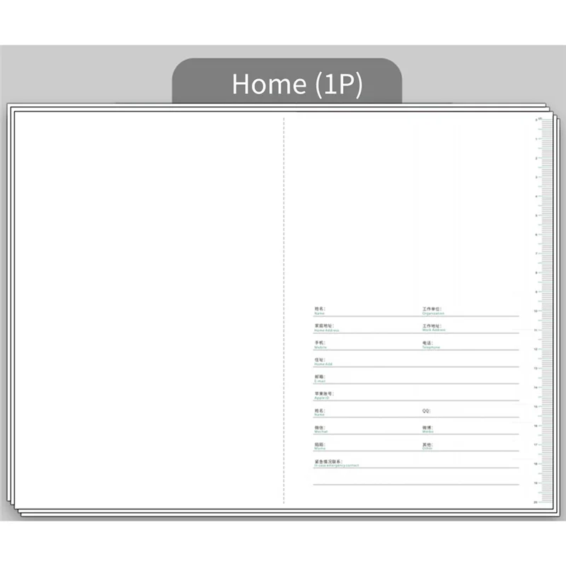 Расписание на 2024 год. Этот удар по самодисциплине. Управление временем. Ежедневный план. Эта эффективность. Ручной календарь. Блокнот.