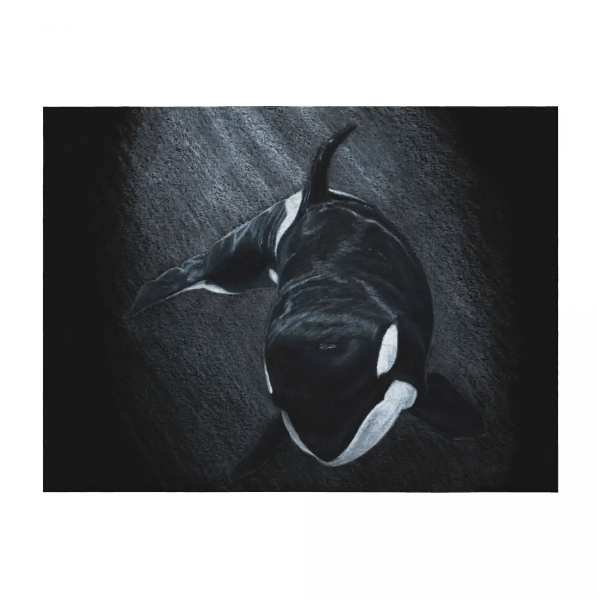 

White Whale - Orca Throw Blanket Luxury Brand Flannel Sofa Throw warm winter Blankets