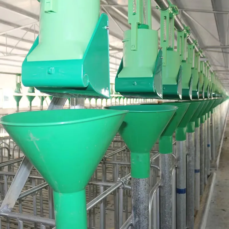 Yonggao pig farming equipment sow automatic feeder timer animal feeding line system for pig feeders and graduated cylinders