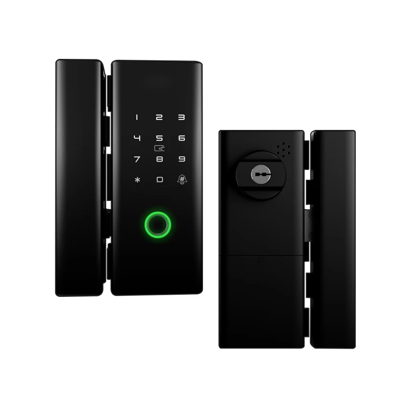 

WiFi Smart App Remote Control Door Lock Iron Gate Outdoor Mechanical Key Fingerprint Password Electronic Unlock