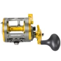 Gold Right handle