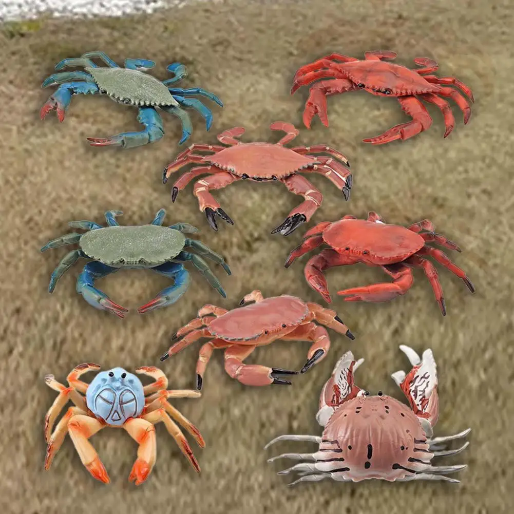 Simulation Animal Model Durable Animal Cognition Toy Realistic Aquarium Miniature Crab Cognition Education Toy Practical