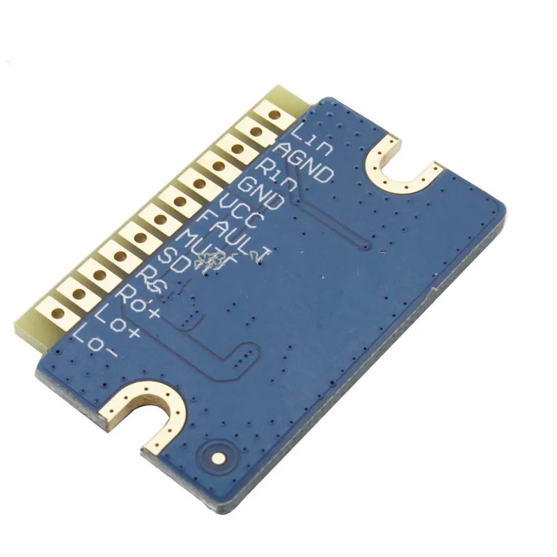 YL2020 New 20W Class Digital Power Amplifier Board 12V-24V Mini Module With Good Sound Effect