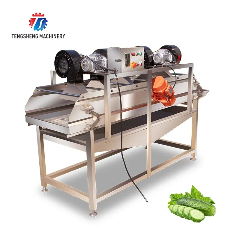 Stainless Steel Fruit and Vegetable Vibrating Dryer Air-Drying Machine Food Processor TS-ZD15