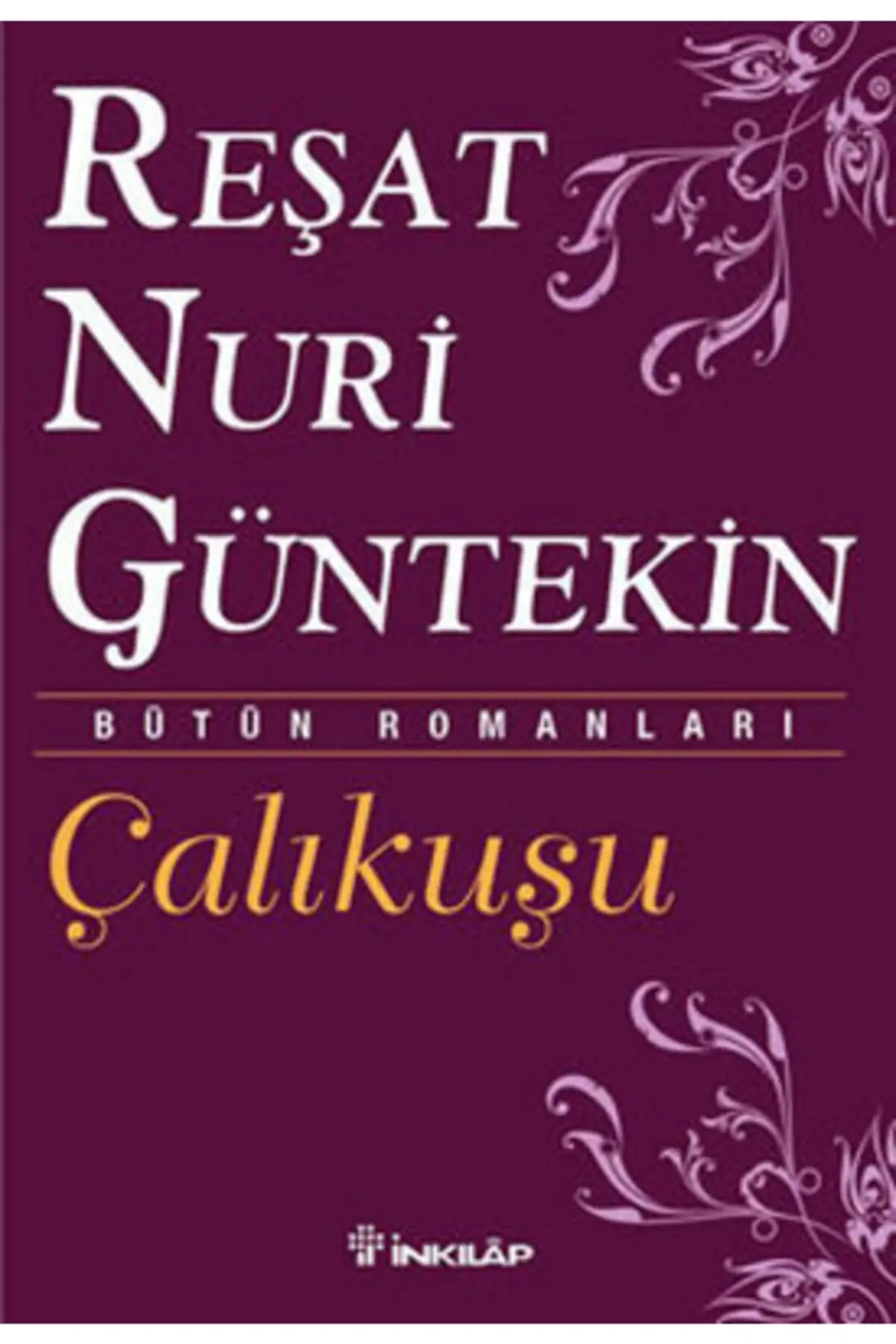 Wren Reşat Nuri Gültekin Wren for the first time in 1922 by newspaper in time and in the same year book printed