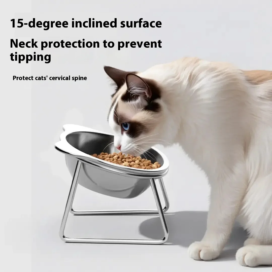 #38 Highest Rated Pet Bowl Stands to Buy in 2026