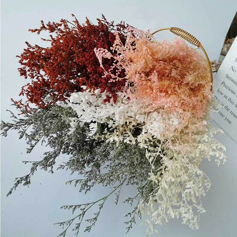 

70g Dried Eternal Limonium Preserved Flowers Lover Grass Bouquet Living Room Garden Decoration Valentine's Wedding Party Decor