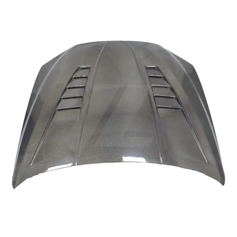 Gt Style Carbon Fib… - image