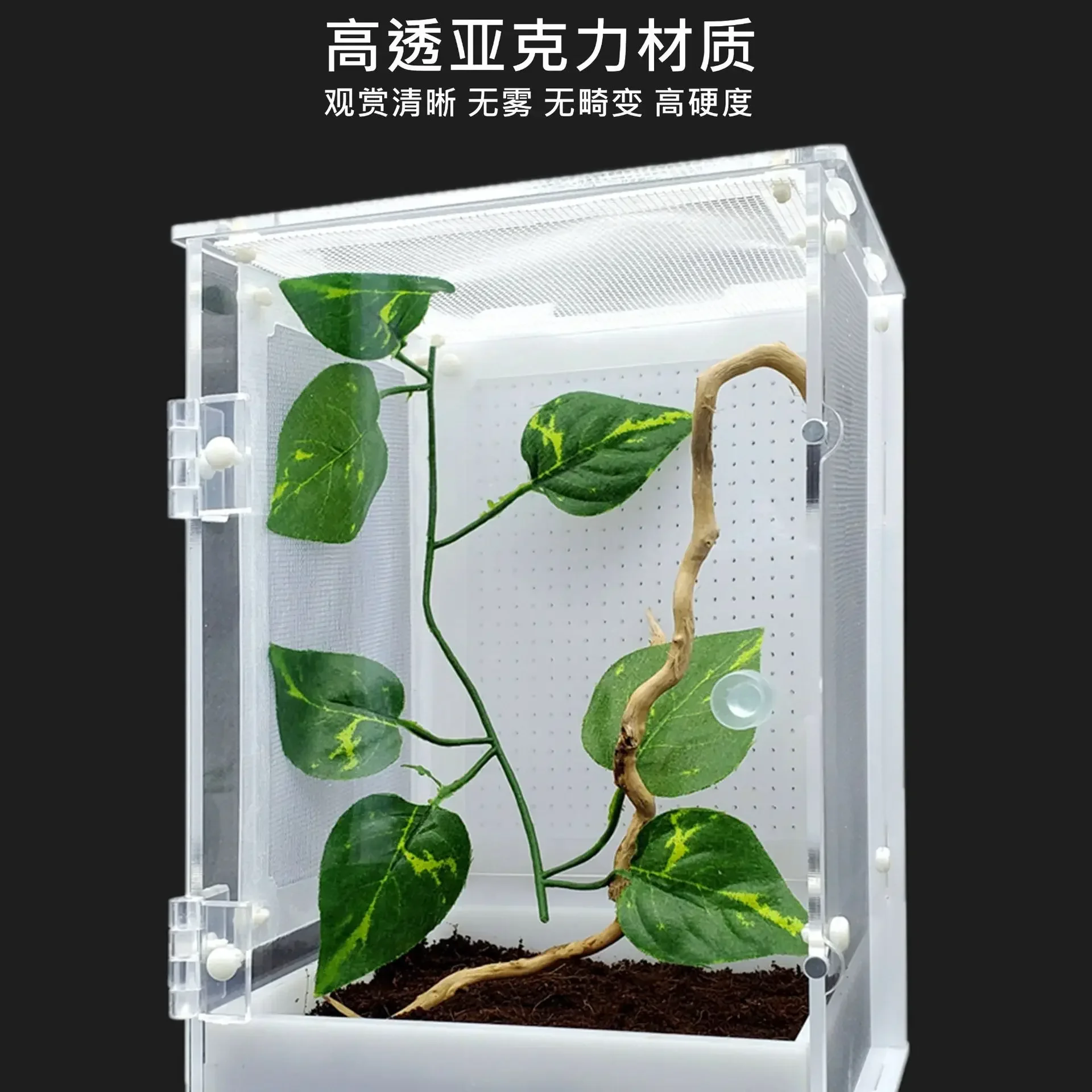 Spider Terrarium Insect Box Mantis Farm Acrylic Breeding Box Feeding Insect Breeding Cage Plants Terrariums Jumping Spider