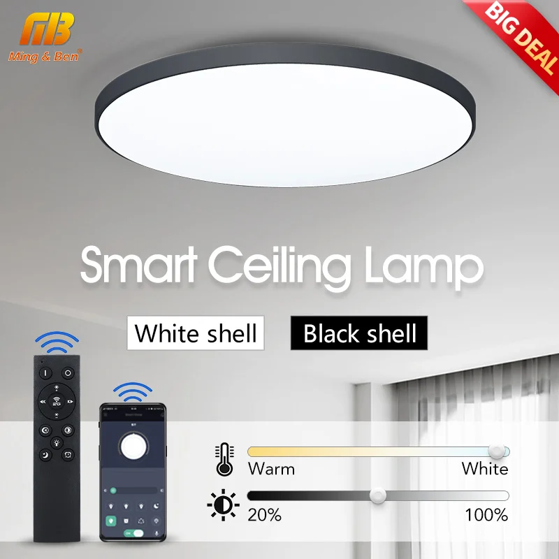 Smart Waterproof Ceiling Light APP Remote Control Dimming 220V Home Indoor Decoration LED Light Timing WIFI Bluetooth Bathroom