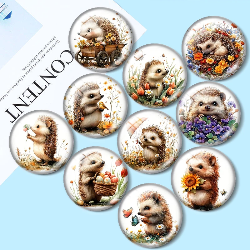 Floral Hedgehog 12/18/20/25mm Glass Cabochon Bracelet Pendant Rings for Jewelry Demo Earrings Back Making Findings