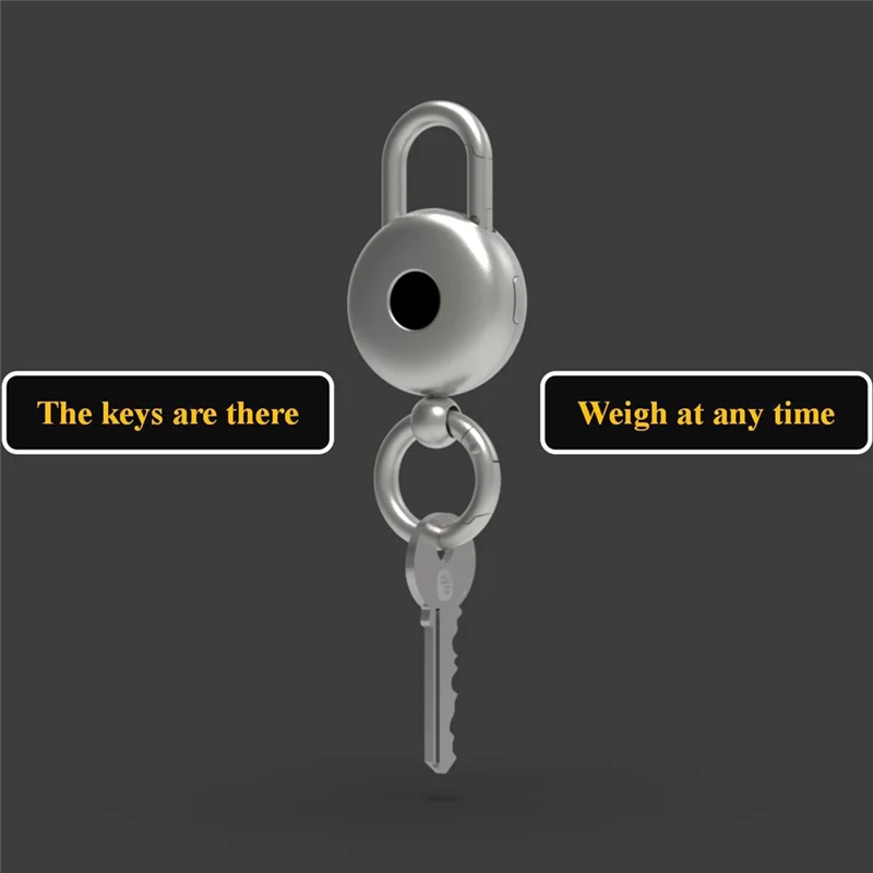 ABRJ-Mini Keychain Electronic Scale 25KG Capacity Scale With In Key Size With 278Mah Battery