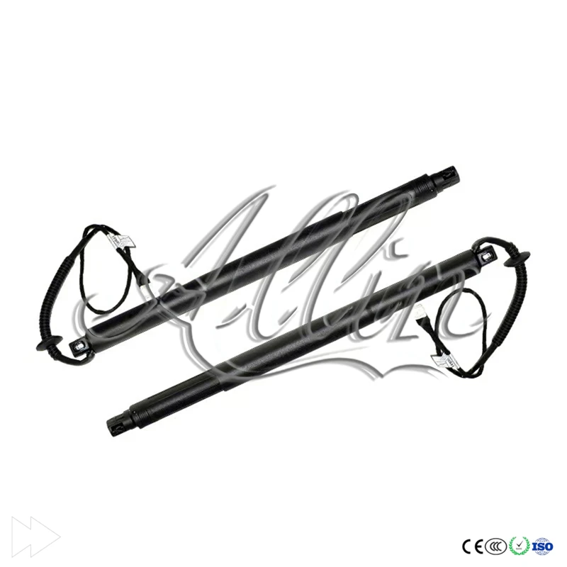 

Brand New 51247318651 51247318652 Rear Left & Right Side Boot Lid Springs for 2014-2019 BMW X6 F16