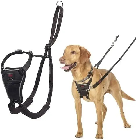 

Не тяните за собой! Используйте эту регулируемую шлейку для средних собак! Легкий и светоотражающий.