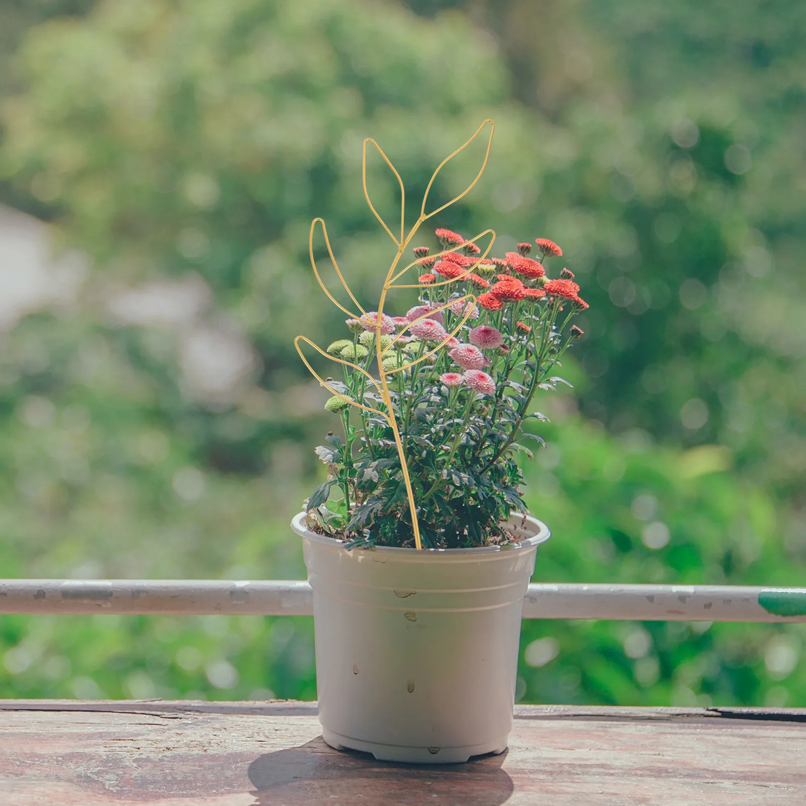 

2Pcs Plant Climbing Rack Mini Trellis for Indoor Use Keeps Plants Growing in Comfortable Environment Plant Accessories