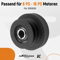 Dual Pulley Centrifugal Clutch 1