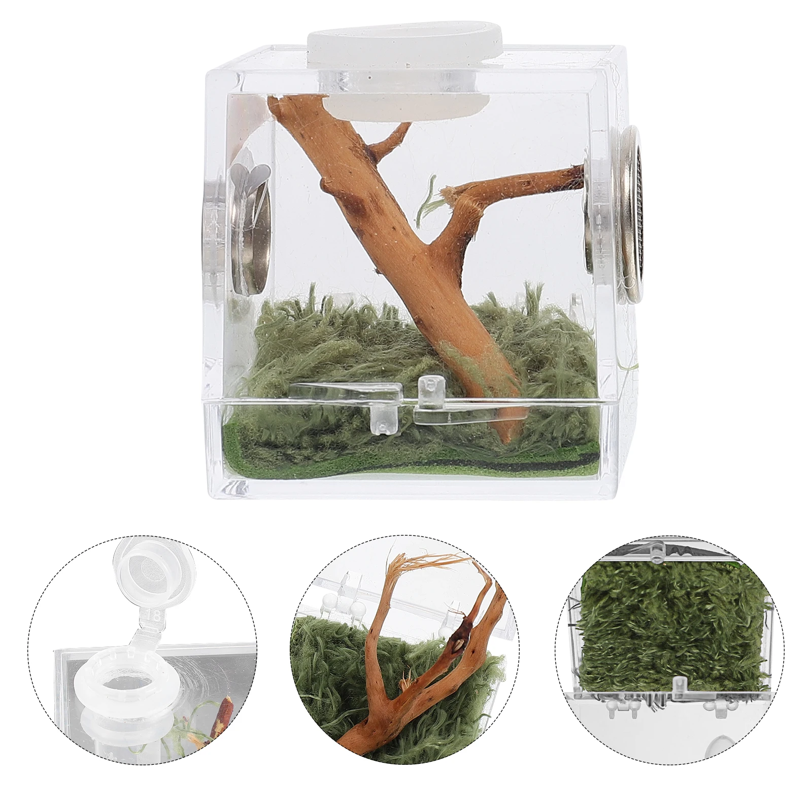 Spider Breeding Box Acrylic Container Clear Case for Jumping Spiders Snails Beetles Portable Habitat Table Decoration Pet