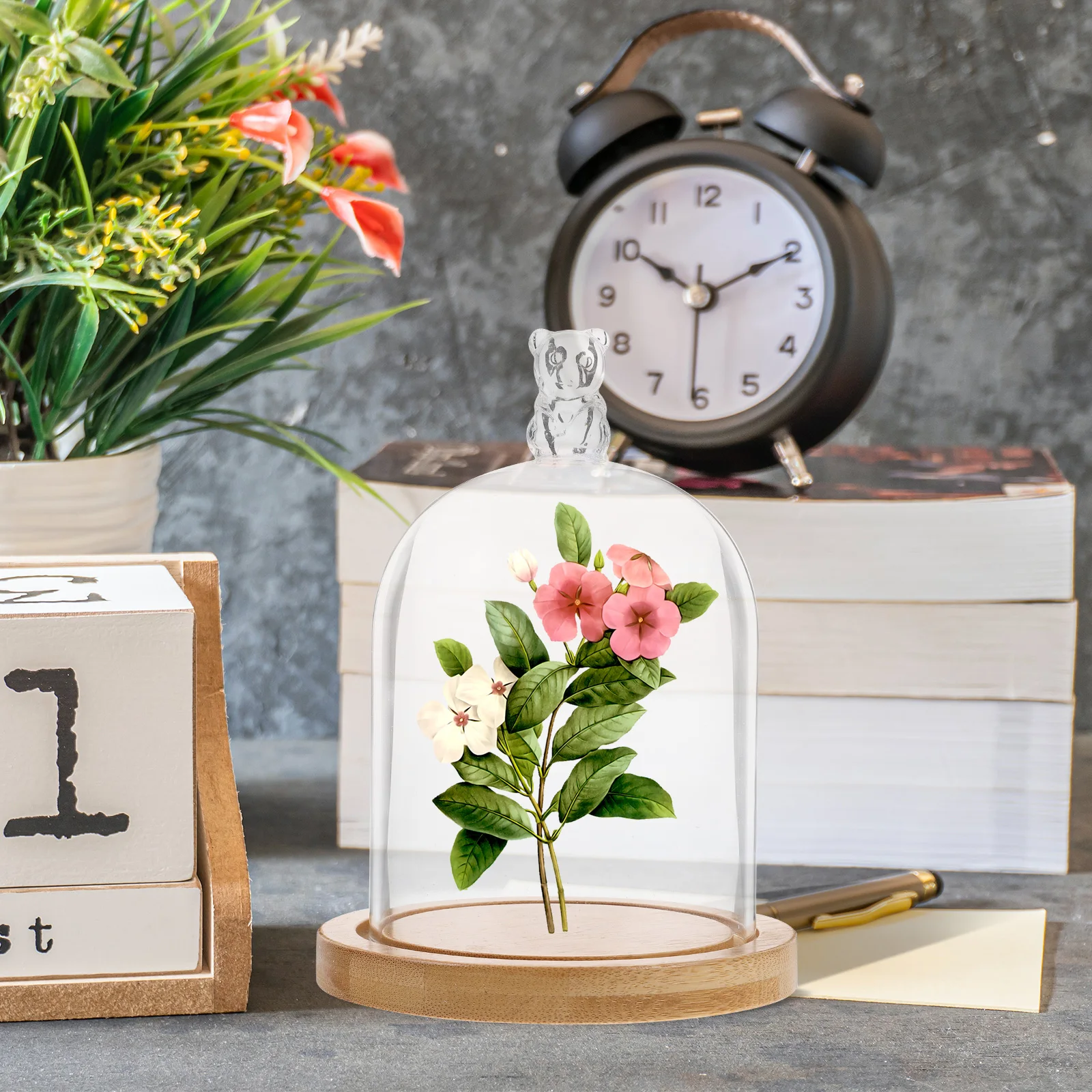 

1PC Transparent Glass Dome for Flower Craft Quality Storage Solution Portable Mini Display Wooden Base Antislid
