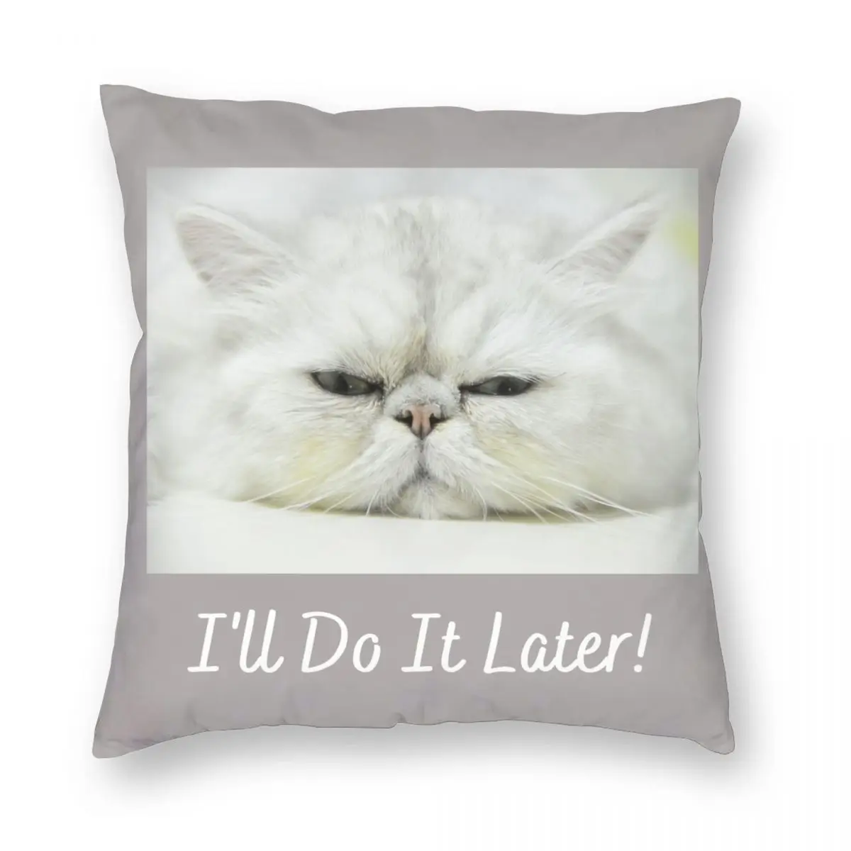 Ill Do It Later Persian Chinchilla Cat Pillowcase Printed Polyester Cushion Cover Decor Pillow Case Cover Seater Square 45X45cm