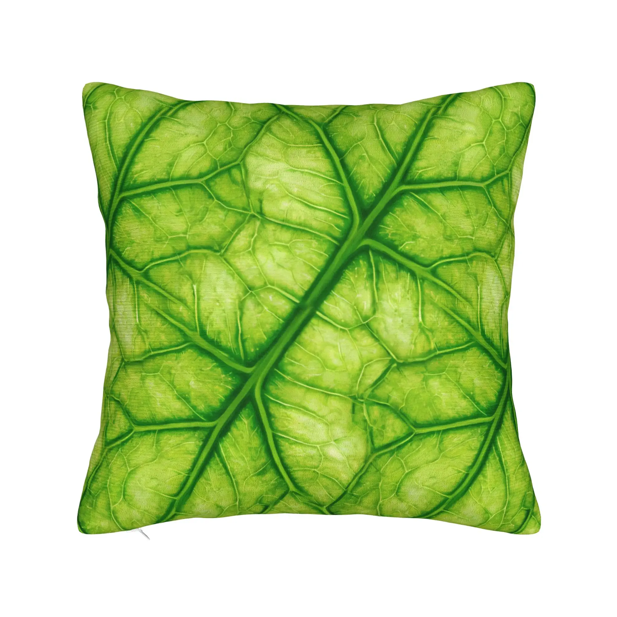 Cabbage Pattern Pillow Cover  Morden Pillow Case For Office Car Home Decor Comfy Cushion Cover Gift