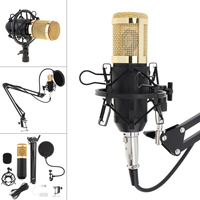 BM 800 Karaoke Professional Condenser Microphone with Stand Arm and Pop Filter for Computers / Wired Studio / Live