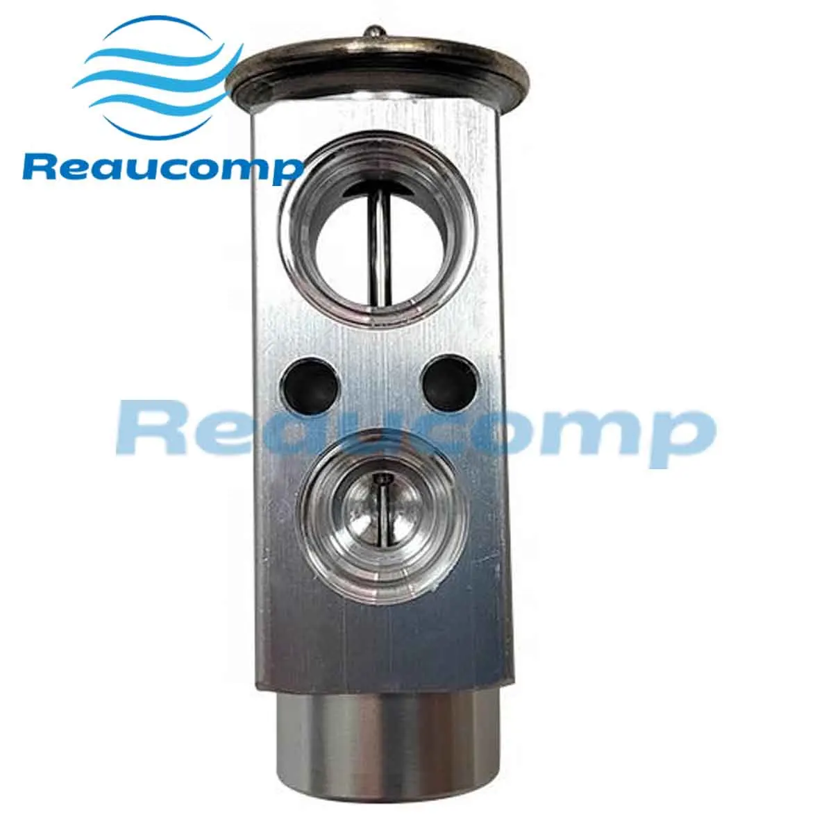 20443850 13419850 Válvula de Expansión TX para Aire Acondicionado de Camiones Volvo FM9 FM12 FH12 1 341 985 0 2 044 385 0