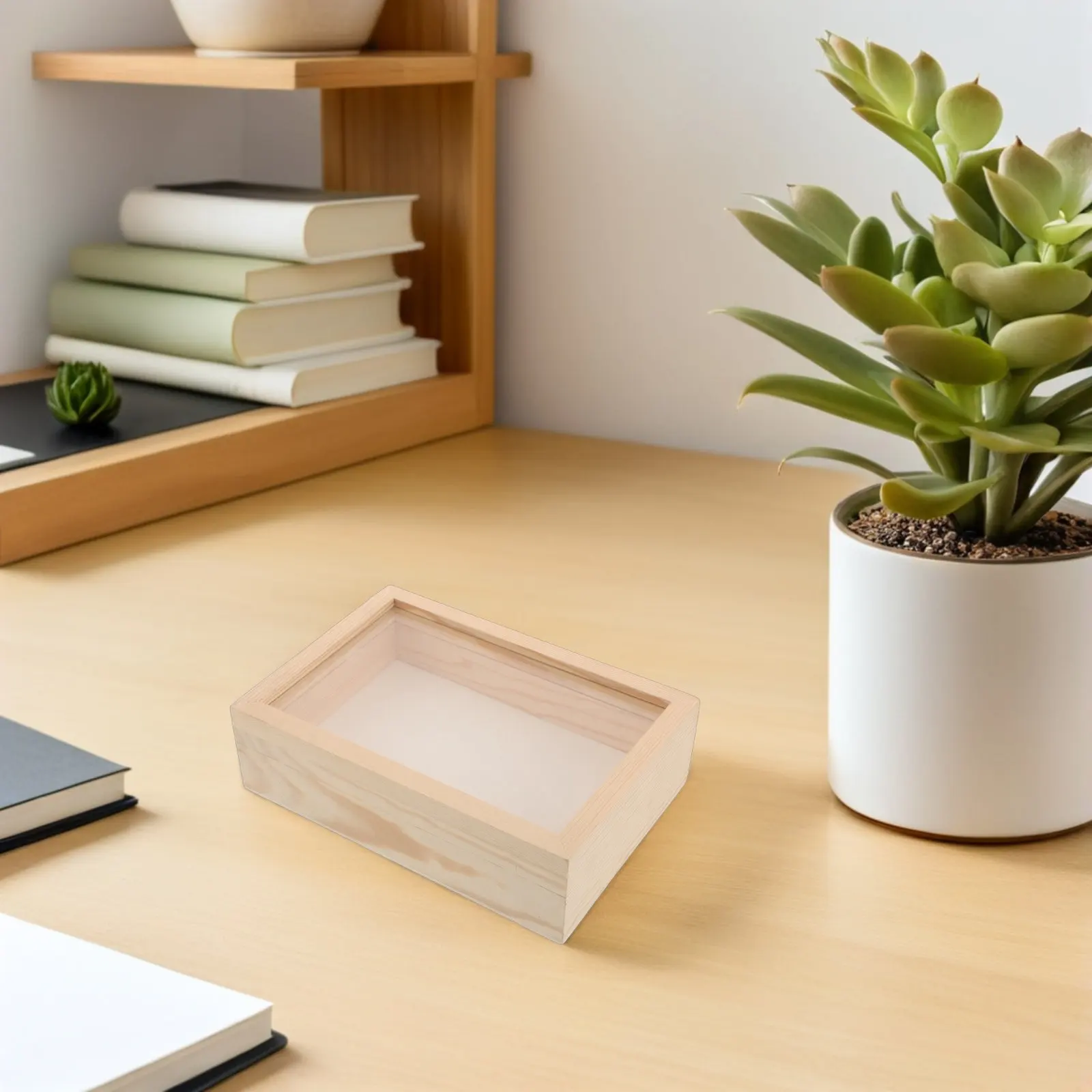 Insect Specimen Display Box Pine Wood Clear Shadow Case for Butterfly Bug Entomology Collection