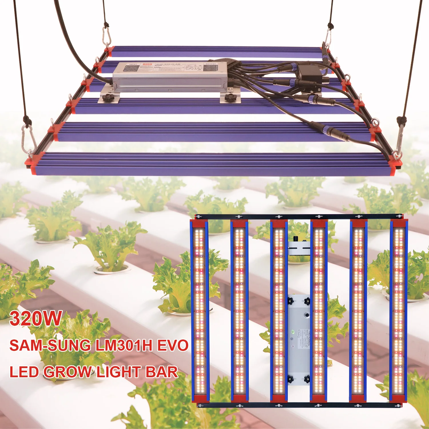 

Full Spectrum High Efficiency LED Grow Light for Greenhouse Plant Cultivation Flood Light for Seedlings with Optimal PPFD