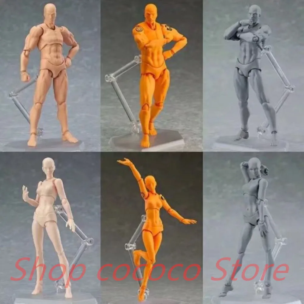 Sketch Body Kun/Body Chan DX Set Movable Male\Female Anime Archetype He She Ferrite Figma Movable Action Figure Miniatures model