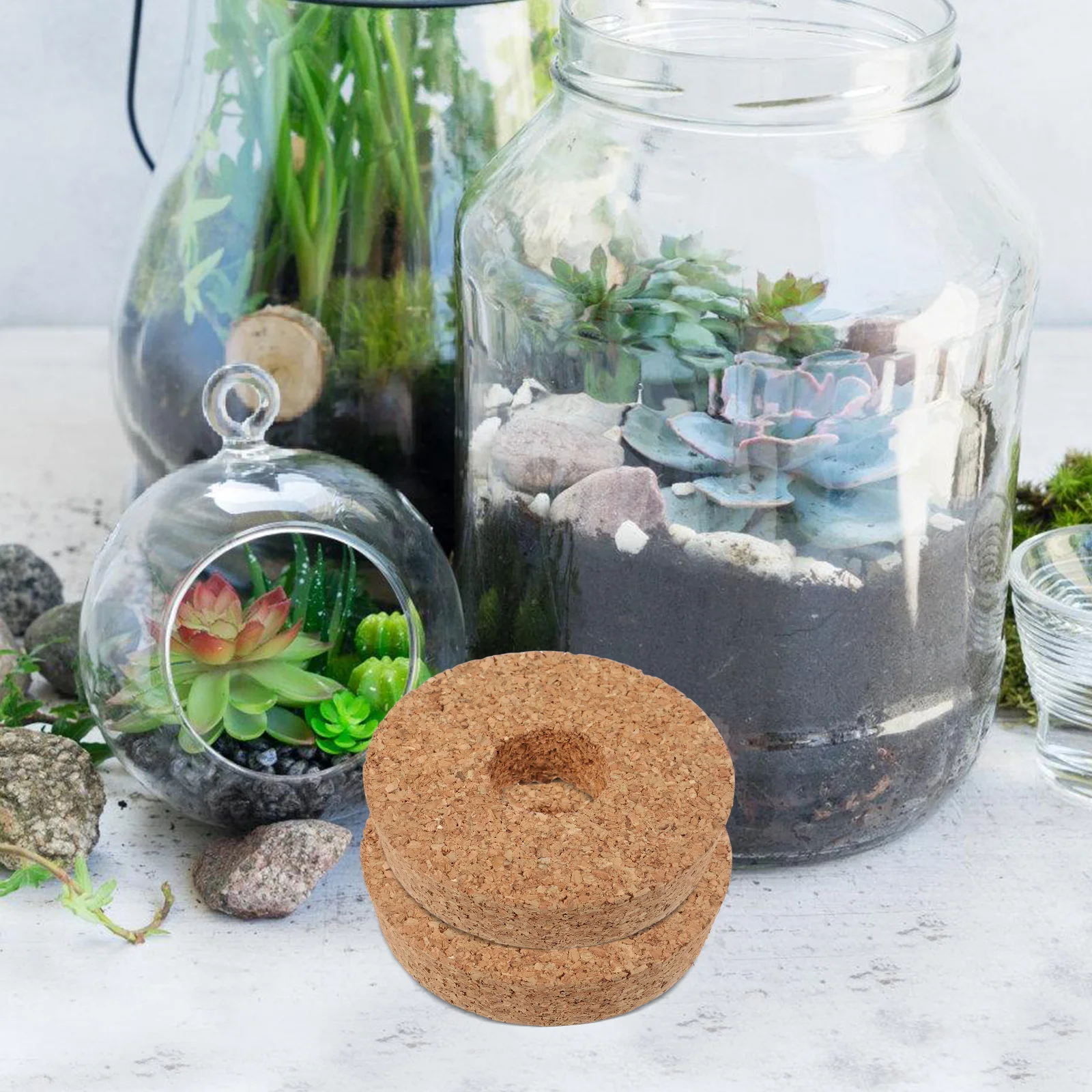 

6 pcs Cork Terrarium Vase with Pre-Drilled Holes Reusable Glass Container for Succulents Planter Jar Lid Stopper Home Decor