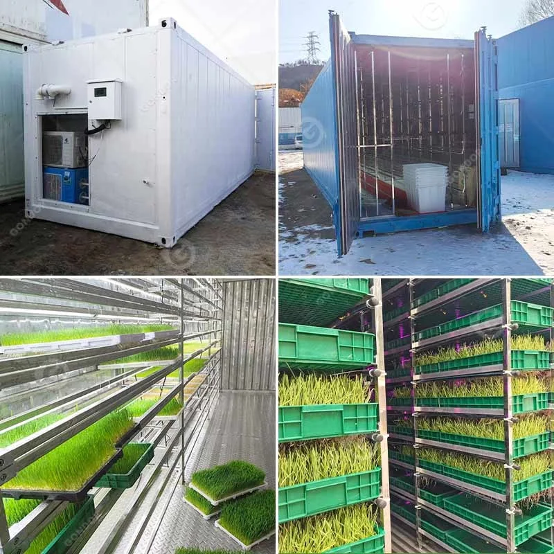 Automatic Barley Fodder Growing System 20ft 40ft Shipping Container Hydroponic Growing Room for Livestock Feed Production
