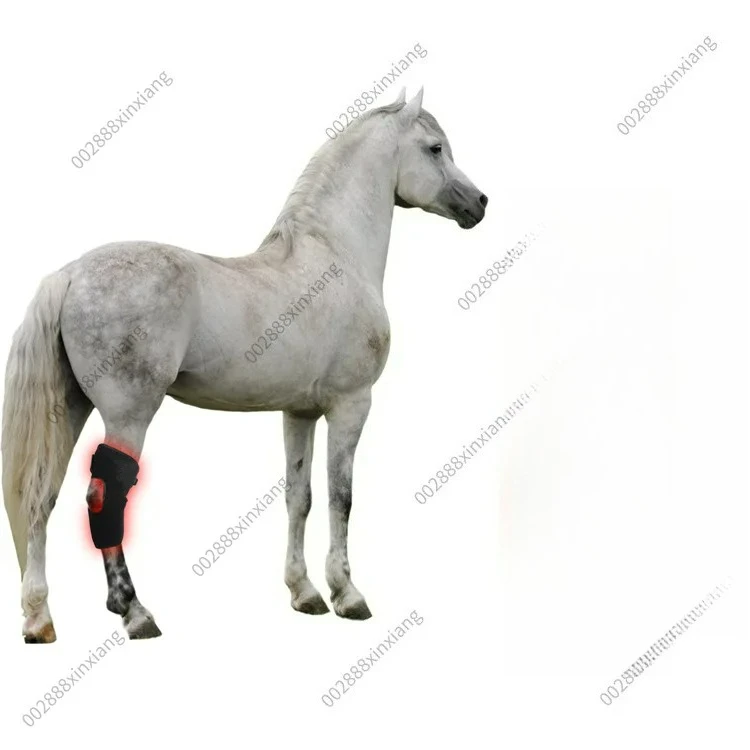 1pcs Infrared infrared pet sports wound recovery horse rear knee portable phototherapy instrument