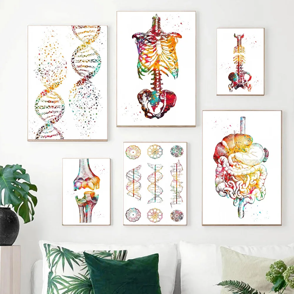 DNA Helix Conformation Poster DNA Tree Canvas Painting Muscle Anatomical Medical Education Wall Pictures Home School Decor