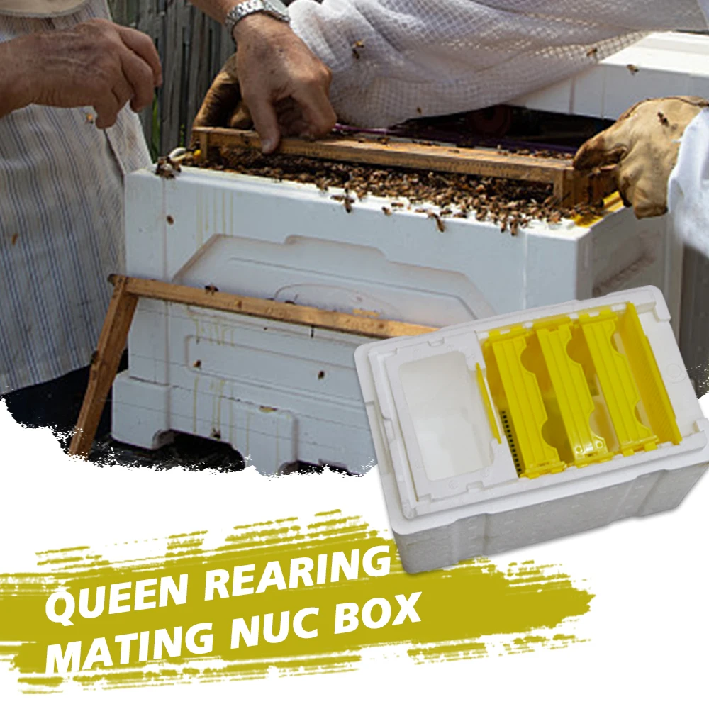 

Beekeeping Beehive Queen Rearing Mating Nuc Box Harvest Pollination Mating Bees Box Reserve For Beekeeper Suppiler